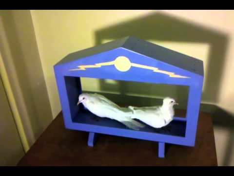 Twin Doves From Balloon