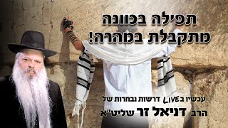 תפילה בכוונה מתקבלת במהרה | הרב דניאל זר