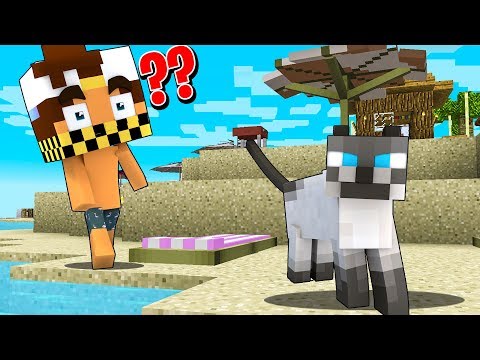 HANNO UCCISO IL GATTO DI MARCYNO? - Vacanze su Minecraft ITA