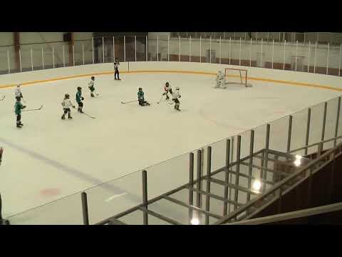 U12 163 White Sharks HC - FTC-Telekom 20201122