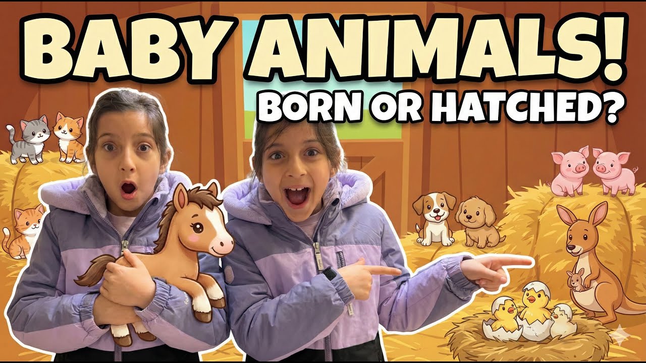 🐣 How Do Baby Animals Grow Up? | Offspring, Eggs & Live Birth | Ava & Hannah Science