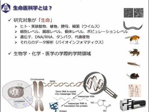 生命医科学専攻（修士課程）オンライン入学説明会動画（2023.7.19開催）