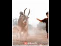 Madrasi Film Status 2022 Fyp Shorts Shortvideo Fyp Ansariofking