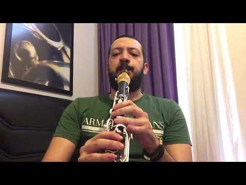 Ertan Müzik Şimşir 70mm Baril Deneme (Yağcılar Zeybeği Klarnet Yakın Çekim)