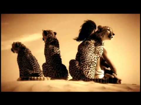 Buddha Bar XIII Homage to Mr V by Ravin, C Campos & D Visan