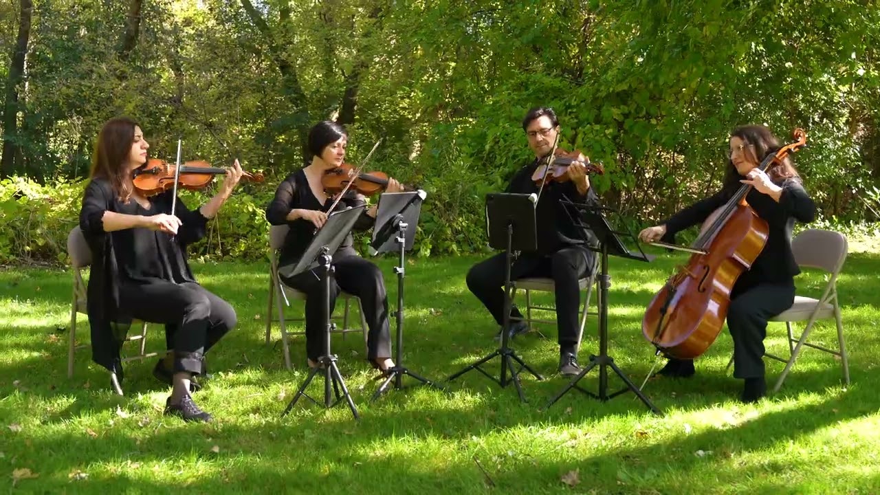 Promotional video thumbnail 2 for Rubato Quartet