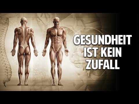 Du bist, was Du isst: Gesundheit ist kein Zufall - Heilung durch richtige Ernährung