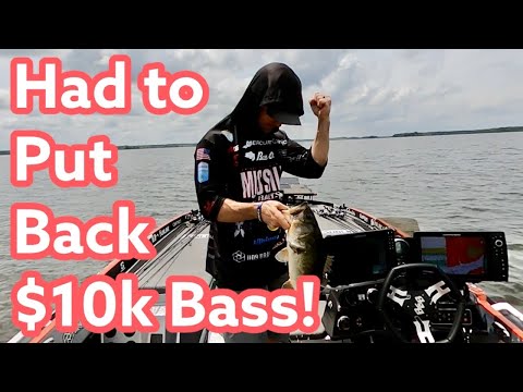 Put Back $10k Bass at Santee BASS Elite
