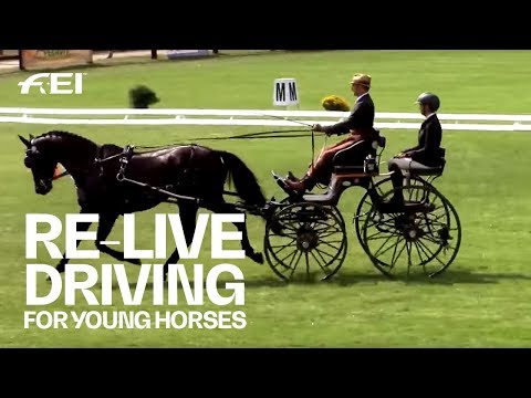RE-LIVE - Day 1 (2/2) (Quali) - FEI World Driving Championships for Young Horses 2018 | Mezöhegyes