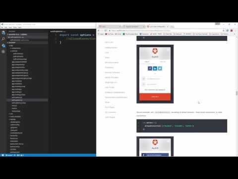 Learn to build an Auth0 App using Angular 2 - Auth0 Options