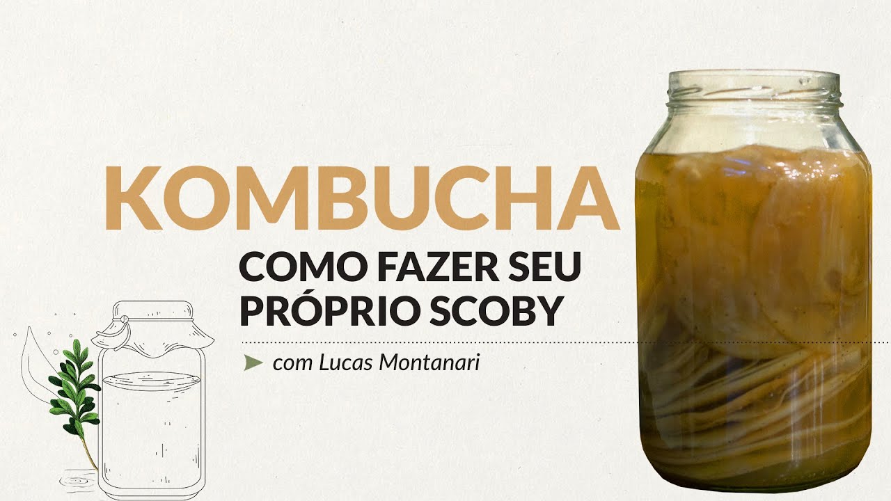 Como fazer seu próprio SCOBY de Kombucha