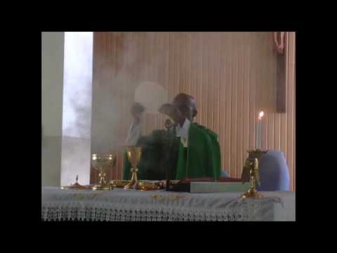 Homily By Fr Anthony Agnes - 20th Sunday of Ordinary Time, C (14-08-2016)