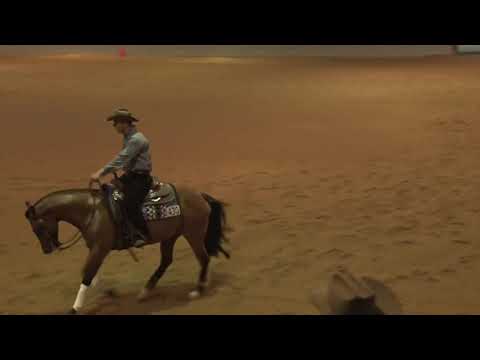 210227 Open Open Derby Matt Goodman On Pale Face Okie Dokie