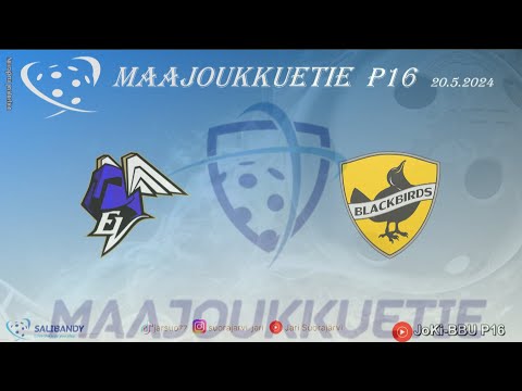 Maajoukkuetie P16 EräViikingit - Blackbirds 20.5.2024