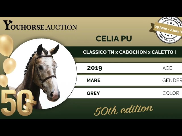 Celia Pu trainingsvideo