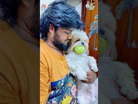 Enna aanalum indha ball ah mattum yarukum kuduka matan 😂 #minivlog #shorts