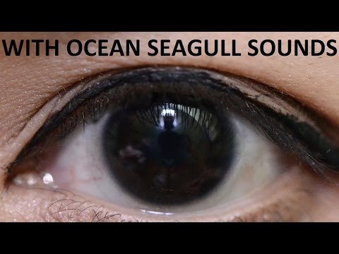 Black Eyes Biokinesis Subliminal Hypnosis (Ocean Seagull) | Change Eye Color to Black Binaural Beats