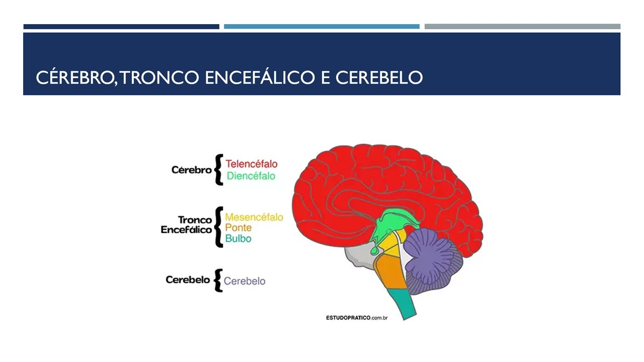 EMERGÊNCIAS CEREBROVASCULARES
