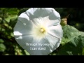 Outrageous Grace - Robin Mark (With Lyrics)