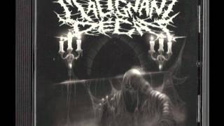 MALIGNANT DECAY - DEAD GIRLS DON'T SAY NO