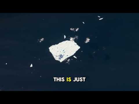 Never trust a government that treats its own people like cattle