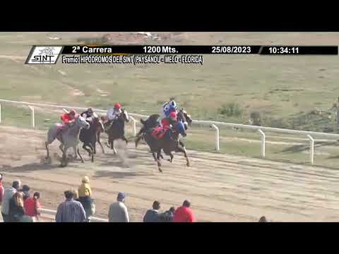 230825 c02 - 1° SURPRISE NESS  - SINT COLONIA