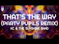 KC & The Sunshine Band - That's The Way (Party Pupils Remix) // Lyrics