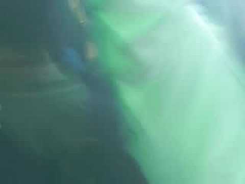 FERRY CORSTEN @ SAMC 2008