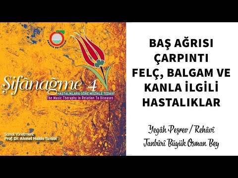 Hastalıklara Göre Müzik İle Tedavi | Baş Ağrısı, Çarpıntı, Felç - Şifânağme 4