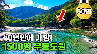 국가에서 1호로 지정🏆 2년간 다닌 곳 중 단연 최고라고 자부합니다. 환상적인 협곡 절경 5.2km 트레킹 코스 | 당일치기 대중교통 여행