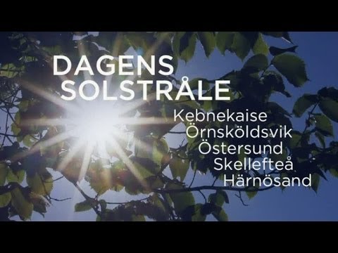 Sophia Nilsson om det kyliga sommarvädret - Nyhetsmorgon (TV4)