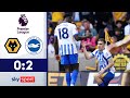 Premierentor Für Gruda Wolverhampton Wanderers Brighton Hove Albion Highlights PL 24 25