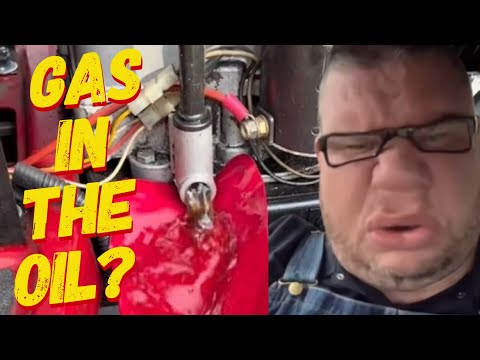 WHY IS THERE GAS IN MY OIL? 🤔