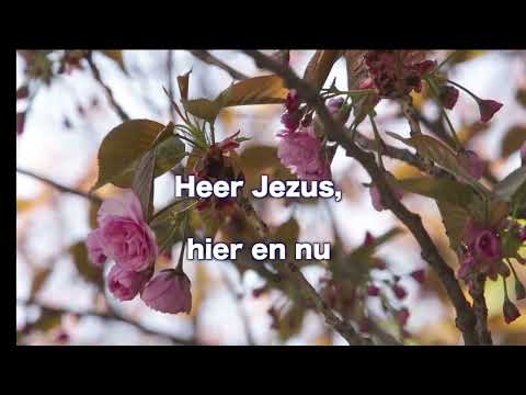 Opwekking 817 Wij hebben U lief 1B