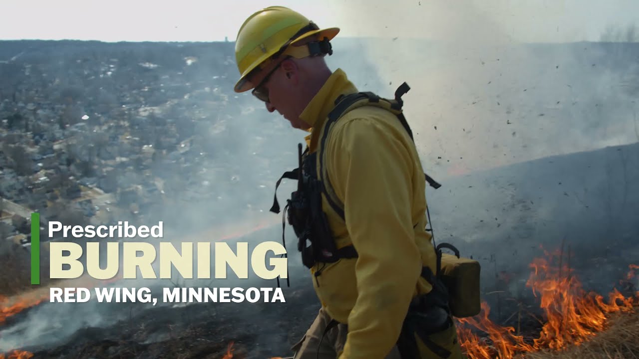Prescribed Burning in Red Wing, Minnesota | Prairie Restoration