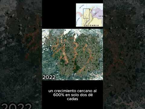 AyapelMineria