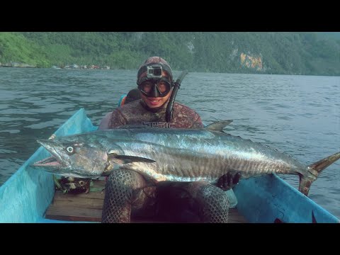 indonesia spearfishing travel - habitat of monster mackerels
