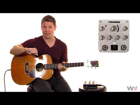 Обзор предусилителя Fishman PRO-AUR-SPC Aura Spectrum DI