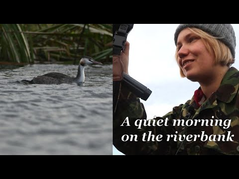 A quiet morning on the riverbank / Wildlife Photography / Autumn