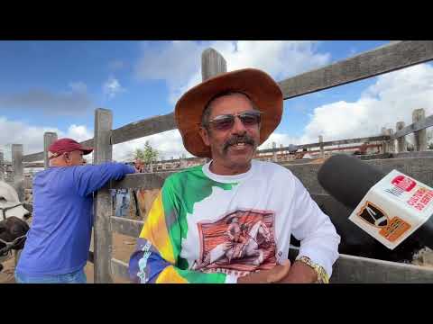 Feira do Gado em Senador Rui Palmeira - AL 13 - 01 - 2026 #nordeste