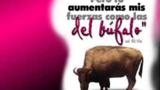 cambiame david palma apocalipsis