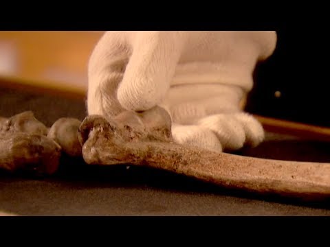 Has Human Technology Kept Us from Evolving? | Earth Science