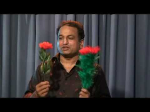 Voir la vidéo de Drooping Flower - Fleur qui se penche