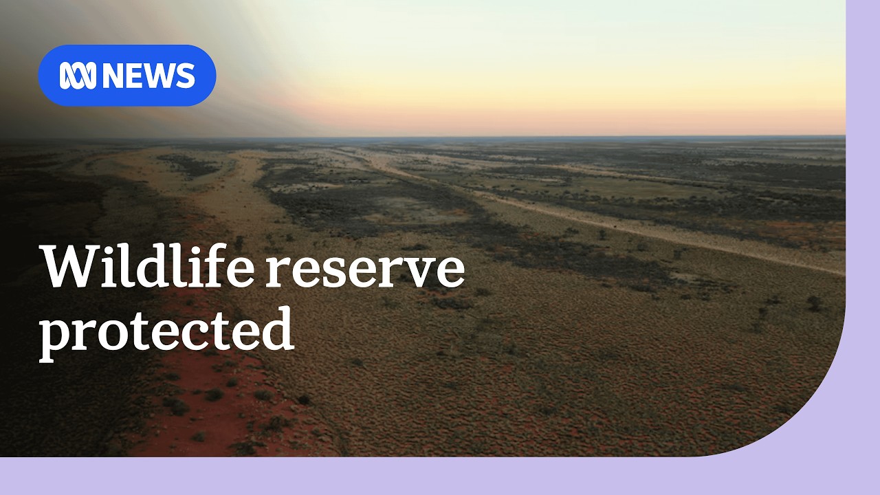 Australia bans mining at sacred Aboriginal site after Juukan Gorge outcry