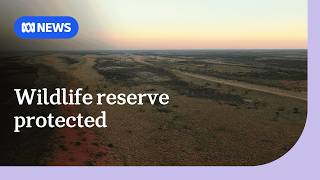 Australia bans mining at sacred Aboriginal site after Juukan Gorge outcry