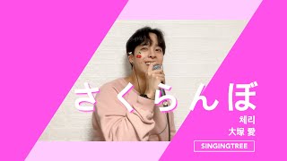 🎧大塚 愛 (Otsuka Ai / 오오츠카아이) _ さくらんぼ (사쿠란보 / 체리) | singingtree cover 🎧