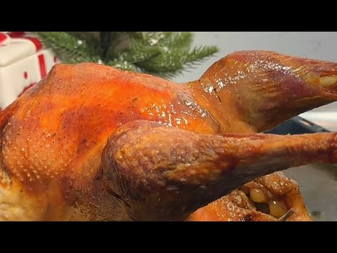 Video thumbnail: Si Të Gatuani me Mjeshtëri Gjelin e Detit – Mënyra dhe Temperatura e Duhur