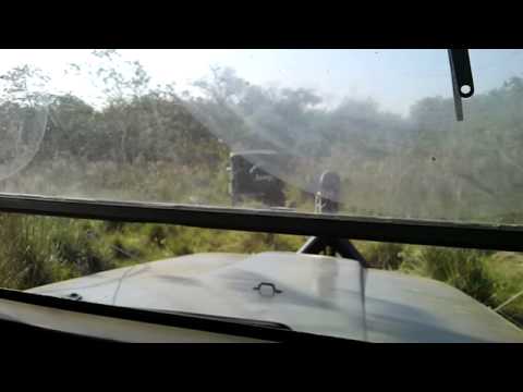 Trilha bataguassu MS