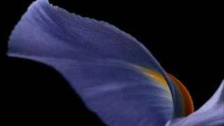Biagio Antonacci &amp; Gemelli Diversi - Iris