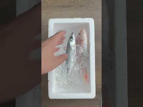 Mouthwatering Local Dish Preparation | Full Cooking Process #fishing #fish